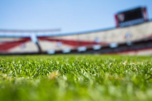 Image for article: Tre stora sporthöjpunkter att följa i sommar